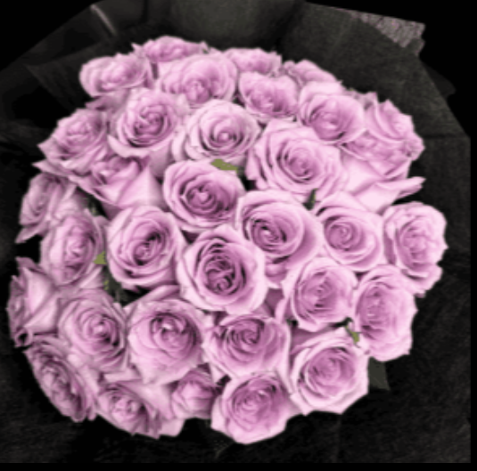 Purple Rain Rose Bouquet
